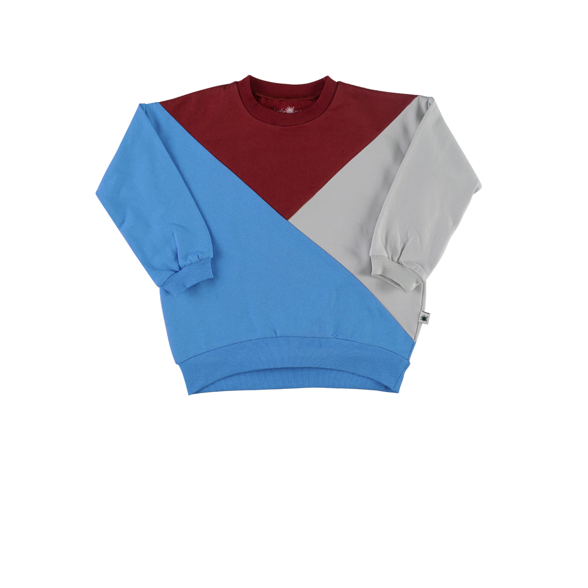 "Grow" Diagonal Sweatshirt - Bordeaux & Blue